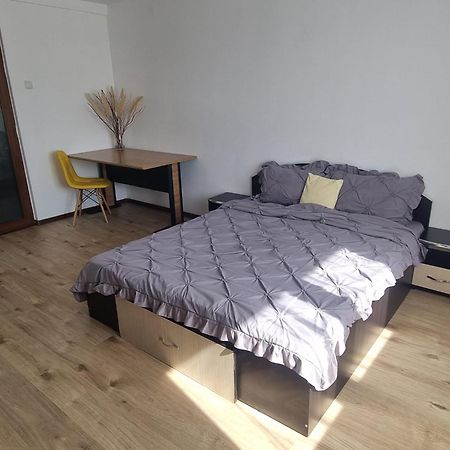 Apartament Central ピテシュティ エクステリア 写真