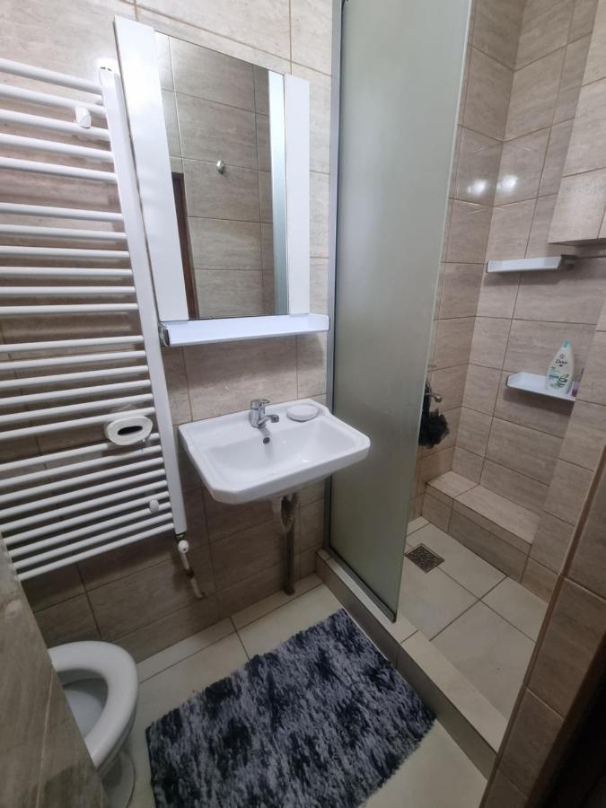 Apartament Central ピテシュティ エクステリア 写真